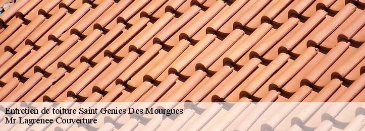 Entretien de toiture 34160