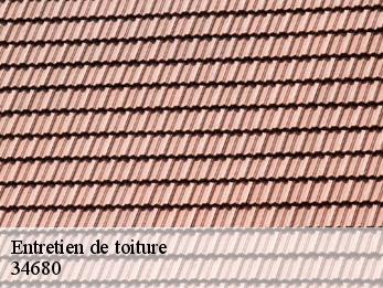 Entretien de toiture 34680
