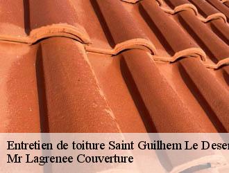 Entretien de toiture saint-guilhem-le-desert-34150 Mr Lagrenee Couverture