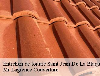 Entretien de toiture saint-jean-de-la-blaquiere-34700 Mr Lagrenee Couverture