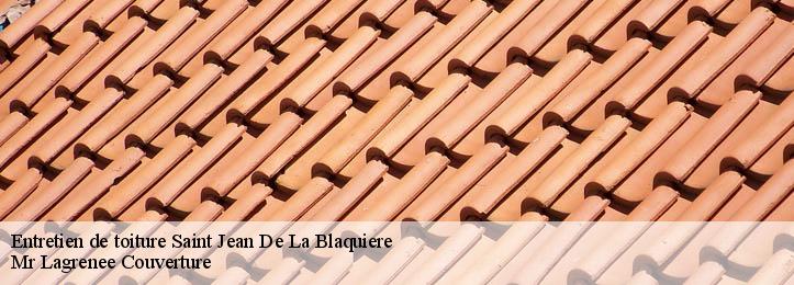 Entretien de toiture 34700