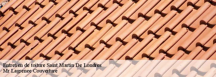 Entretien de toiture 34380