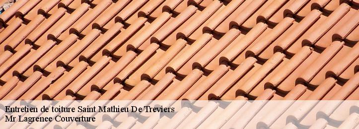 Entretien de toiture 34270