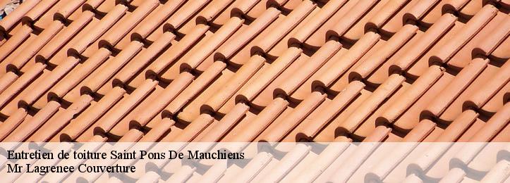 Entretien de toiture 34230