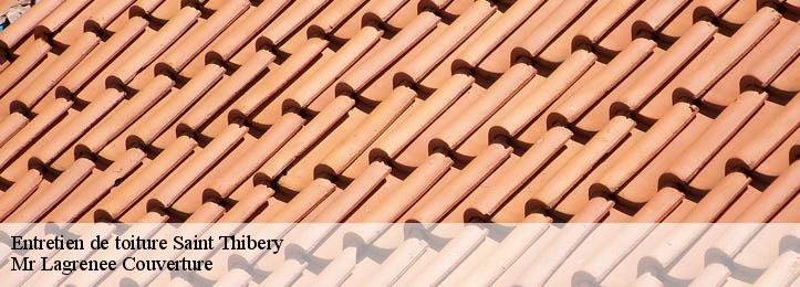 Entretien de toiture 34630