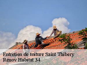 Entretien de toiture  saint-thibery-34630 Rénov Habitat 34 