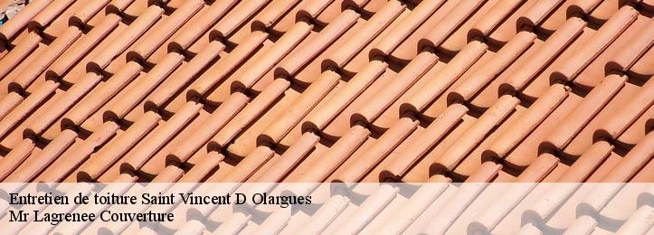 Entretien de toiture 34390