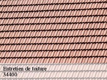 Entretien de toiture 34400