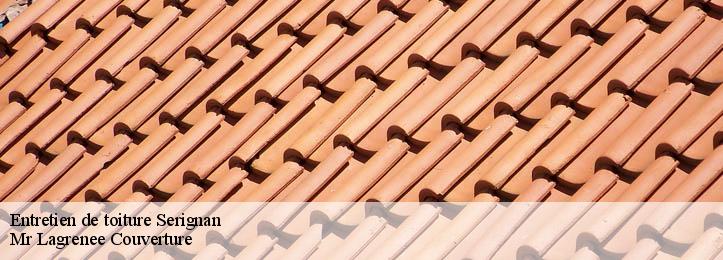 Entretien de toiture 34410