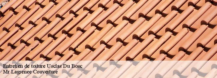 Entretien de toiture 34700