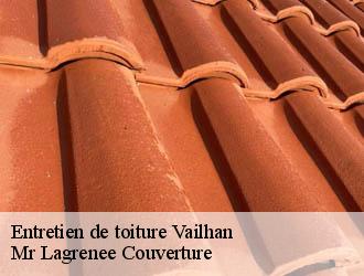 Entretien de toiture vailhan-34320 Mr Lagrenee Couverture