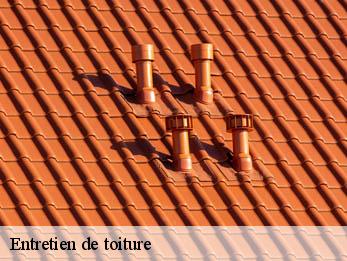 Entretien de toiture