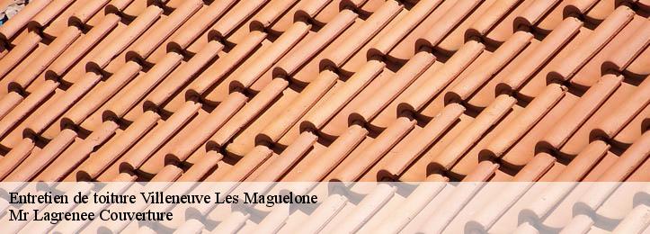 Entretien de toiture 34750