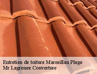 Entretien de toiture marseillan-plage-34340 Mr Lagrenee Couverture