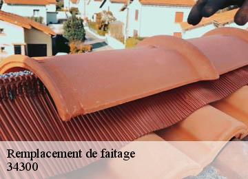 Remplacement de faitage  34300