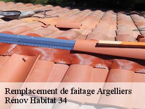 Remplacement de faitage  argelliers-34380 Rénov Habitat 34 