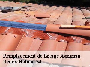 Remplacement de faitage  assignan-34360 Rénov Habitat 34 