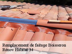 Remplacement de faitage  boisseron-34160 Rénov Habitat 34 