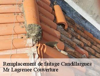 Remplacement de faitage candillargues-34130 Mr Lagrenee Couverture
