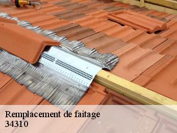 Remplacement de faitage 34310