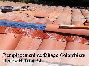Remplacement de faitage  colombiers-34440 Rénov Habitat 34 
