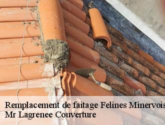 Remplacement de faitage felines-minervois-34210 Mr Lagrenee Couverture