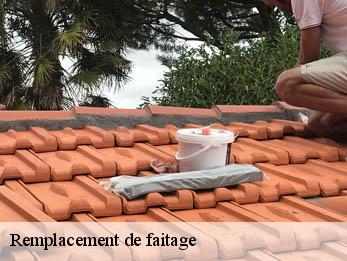 Remplacement de faitage