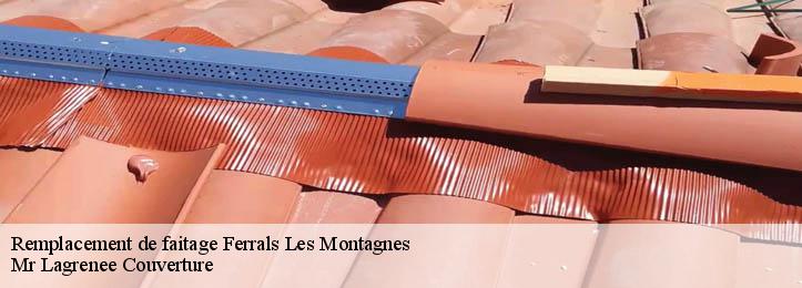 Remplacement de faitage  34210