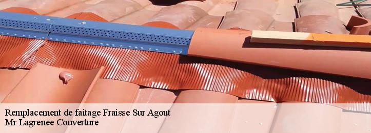 Remplacement de faitage  34330