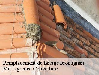 Remplacement de faitage frontignan-34110 Mr Lagrenee Couverture