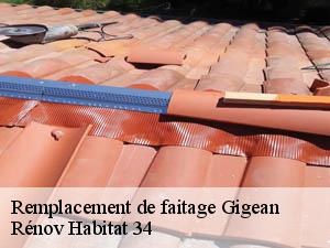 Remplacement de faitage  gigean-34770 Rénov Habitat 34 