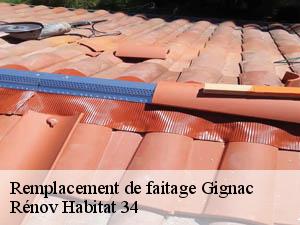 Remplacement de faitage  gignac-34150 Rénov Habitat 34 