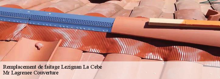 Remplacement de faitage 34120