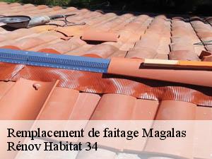 Remplacement de faitage  magalas-34480 Rénov Habitat 34 