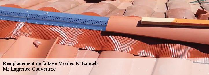 Remplacement de faitage 34190