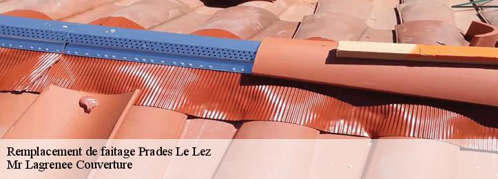 Remplacement de faitage 34730