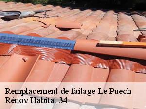 Remplacement de faitage  le-puech-34700 Rénov Habitat 34 