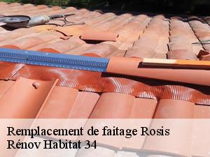 Remplacement de faitage  rosis-34610 Rénov Habitat 34 