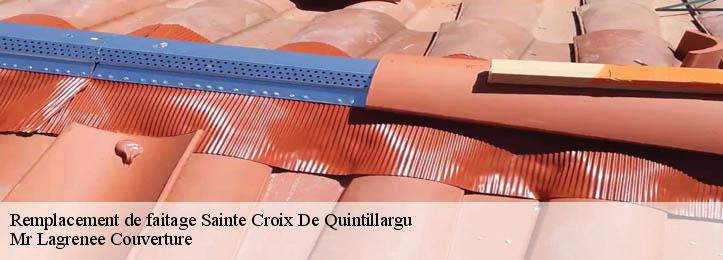 Remplacement de faitage 34270