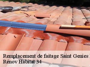 Remplacement de faitage  saint-genies-de-varensal-34610 Rénov Habitat 34 