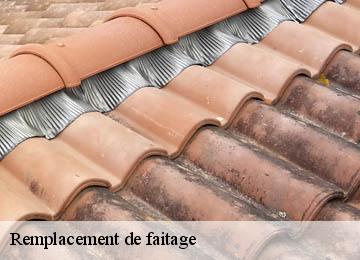 Remplacement de faitage