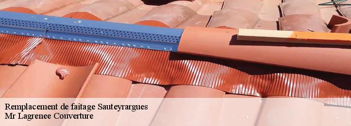 Remplacement de faitage 34270