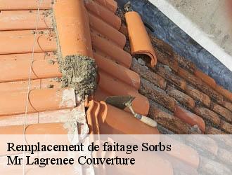 Remplacement de faitage sorbs-34520 Mr Lagrenee Couverture
