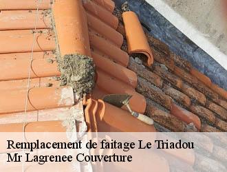 Remplacement de faitage le-triadou-34270 Mr Lagrenee Couverture