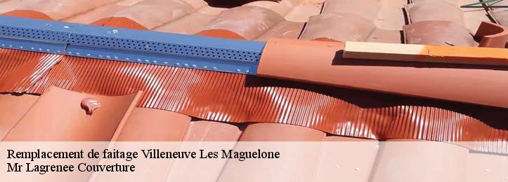 Remplacement de faitage 34750