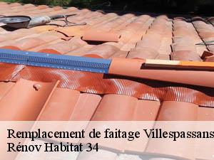 Remplacement de faitage villespassans-34360 Rénov Habitat 34