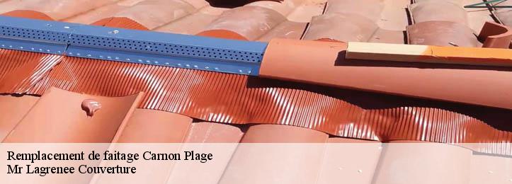 Remplacement de faitage 34280